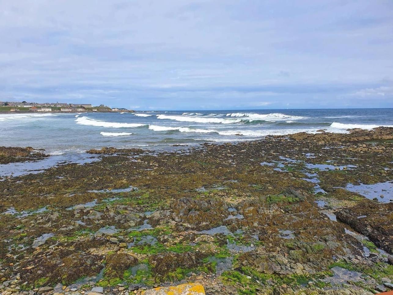 Moray View, Macduff, Aberdeenshire. Εξωτερικό φωτογραφία